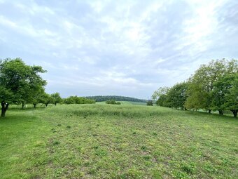 Bezuchov, stavební pozemek 3440m2 - 13
