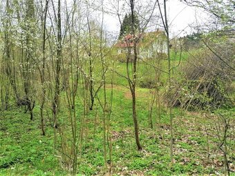 Prodej podílu 1/2 stavebního pozemku 340 m² Veselá - Žďár - 13