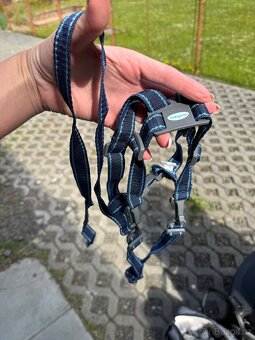 Kocarek Zopa Statos - 13