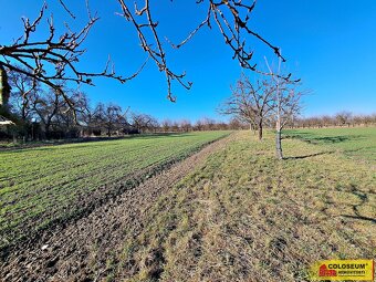 Štěchov, stavební rezerva, 4 979 m2 – pozemek - 13