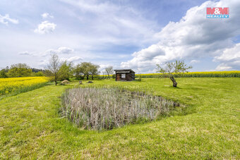 Prodej pole, 6672 m², Pláň, Ostrov u Bezdružic - 13