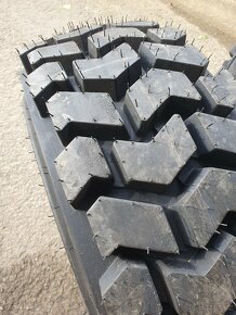 Kola UNC - Locust - 13