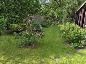 Zavedená zahrada s chatkou a pergolou na malebném místě u ře - 13