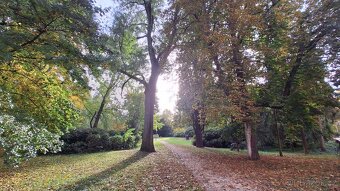 Prodej činžovního domu, Bulharská ul, Pardubice - 13