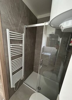 TOP Prodam 3+KK Plzen 64m Na Pruhonu - 13