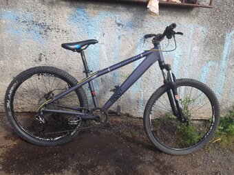 MTB/DIRT PELLIS ROOT - 13