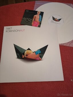Gramodesky, vinyly - 13
