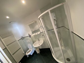 Pronájem slunného bytu 2+kk, 70 m2 - Praha - Holešovice- Let - 13