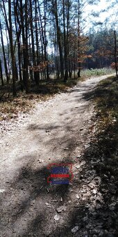 Lesní pozemky v Bítouchově u Mladé Boleslavi, ev.č. VŠ-7734 - 13