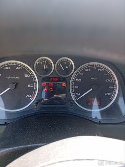 Peugeot 307 sw - 13
