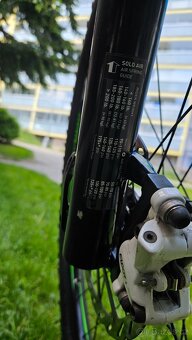 Specialized Carve Comp 29 vel L-19 - 13