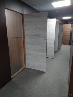 SLADOVACI KOJI PLZEN. - 13