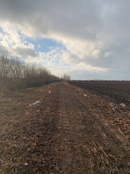 Údržba zeleně - 13