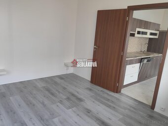 Pronájem bytu 3+1+L - Děčín - Březiny - 13