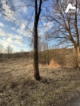 Prodej pozemku_zahrady_4971m2 - 13