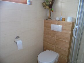 Nabízím k pronájmu zařízený apartmán ve Starém Plzenci - 13