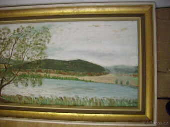 Obrazy z nálezu - 13