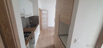 Pronájem bytu 2+1 50m2 ul. Plamínkové, Pankrác - 13