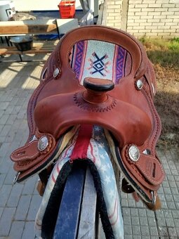 Reining Šafář - 13