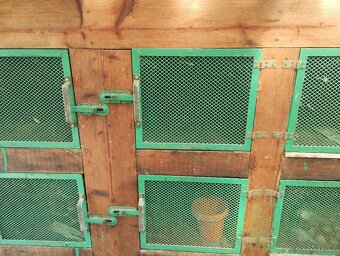 Kralikarna, kotce. - 13