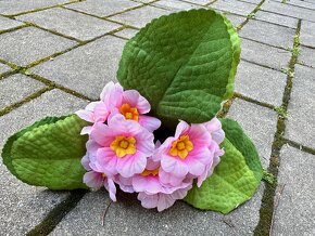 Krásné umělé květiny - karafiáty, růže aj. - 13