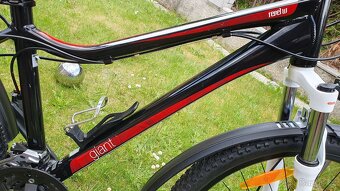 Giant - 13