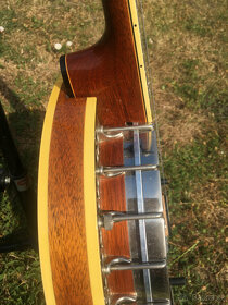 Pětistrunné banjo OME TRIPLE X - 13