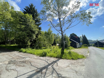 Prodej pozemku určeného k výstavbě, 982 m², Desná - Souš - 13