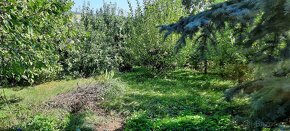 Prodej RD / chalupy v obci Černíkov u Klatov - 13