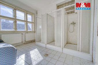 Prodej rodinného domu, 158 m², Břasy - 13