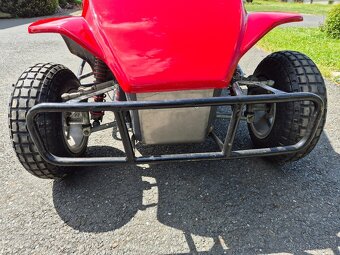 Buggy Havel - 13