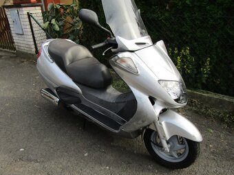 Honda Foresight 250 - 13