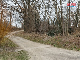 Prodej pozemku k bydlení, 3086 m², Podmoky - 13