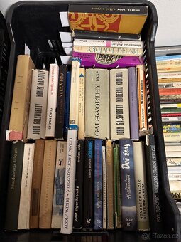 Knihy - 13