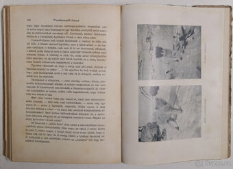 A sarkvidék remetéje 1916 - 13