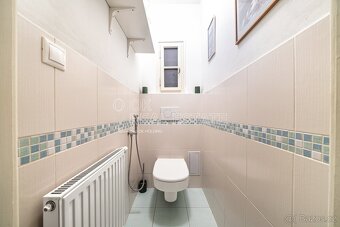 Pronájem vybaveného bytu 2+kk, 55 m2 plus sklep - Praha - Vi - 13