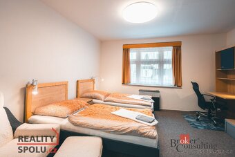 Prodej, domy/rodinný, 250 m2, Lázeňská 11, 34952 Konstantino - 13