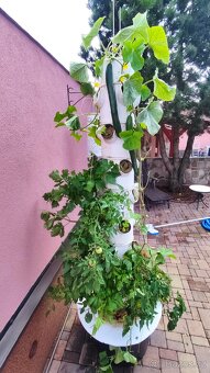 Hydroponická věž - 6 pater - 13