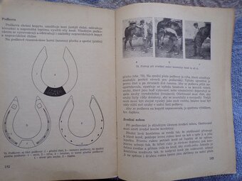 Chov ovcí, Biologie výživy, Kožešinové zvířata, Základy. - 13