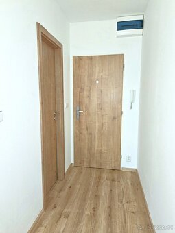 Byt 1+1 (2kk) 36m2 Desná - 13
