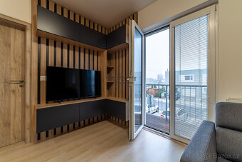 Pronájem novostavby 2+kk s balkonem a parkovacím místem, Zbů - 13