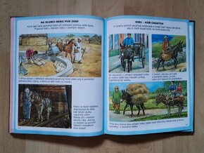 Kniha Obrázky koní a poníků, čtená - 13