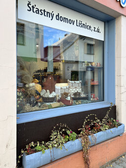 Prodej komerčního objektu v historickém centru Žamberka - 13