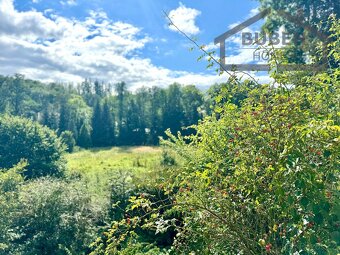 Vícegenerační vila (240 m2) s navazujícími pozemky (2,5ha) - - 13