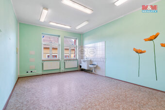Prodej obchod a služby, 849 m², Trmice, ul. Fügnerova - 13