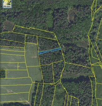 Lesní pozemek Chářovice - 13