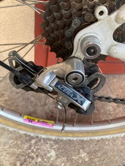 Bianchi XC 251 - 13