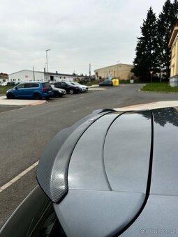 Seat Leon Cupra 300 - 13