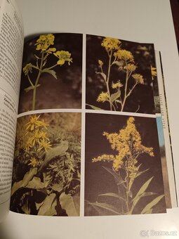 Farebný atlas rastlín - 13