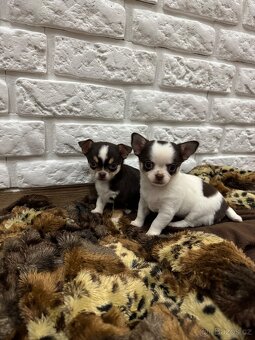 Miničivava-rezervace - 13